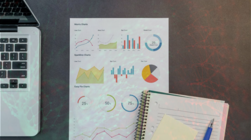 FROM DATA TO INSIGHT