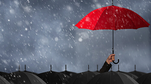 LEWIS per le attività PR di Victor Insurance